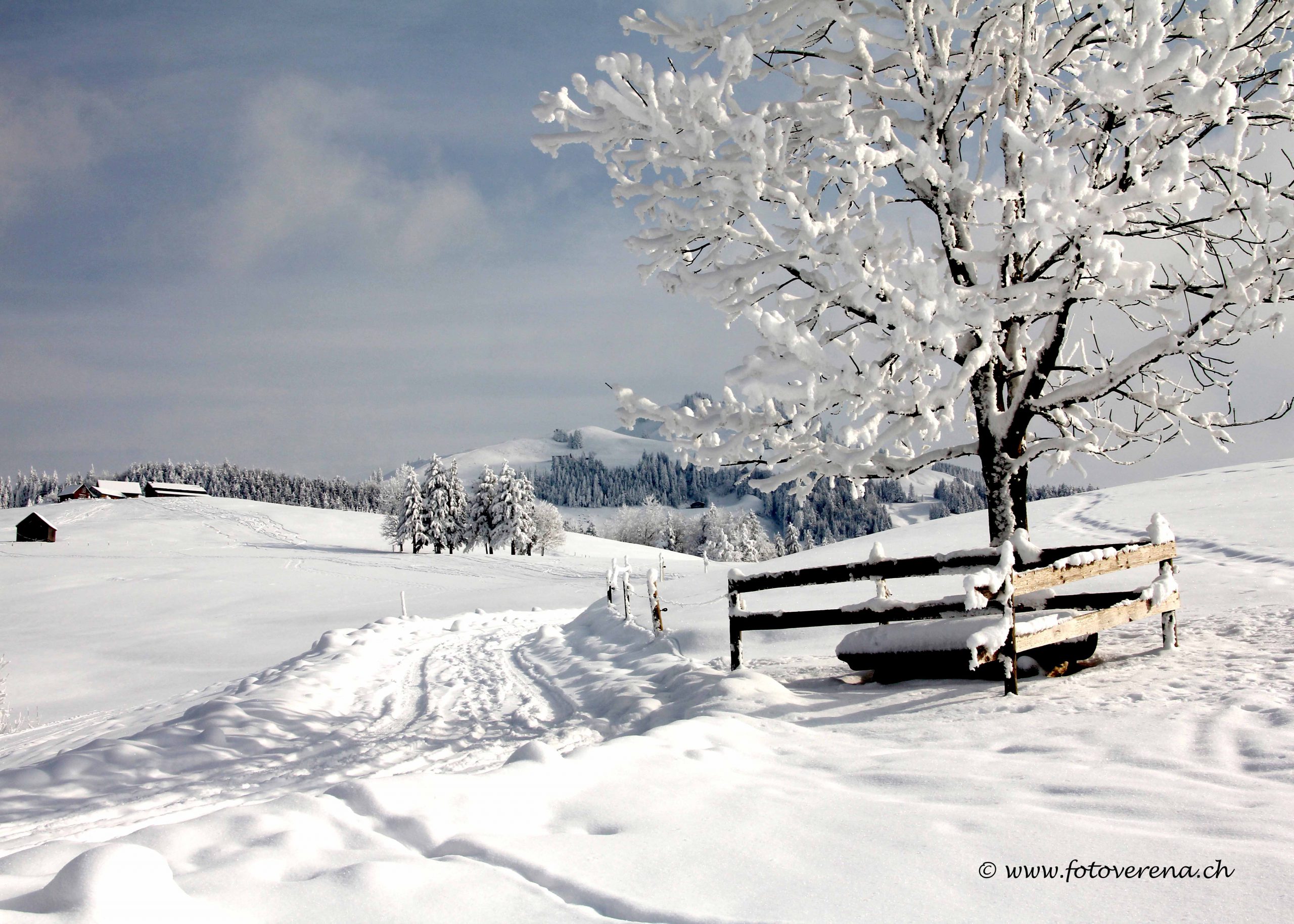 eine Wanderung durch die verschneite Winterlandschaft